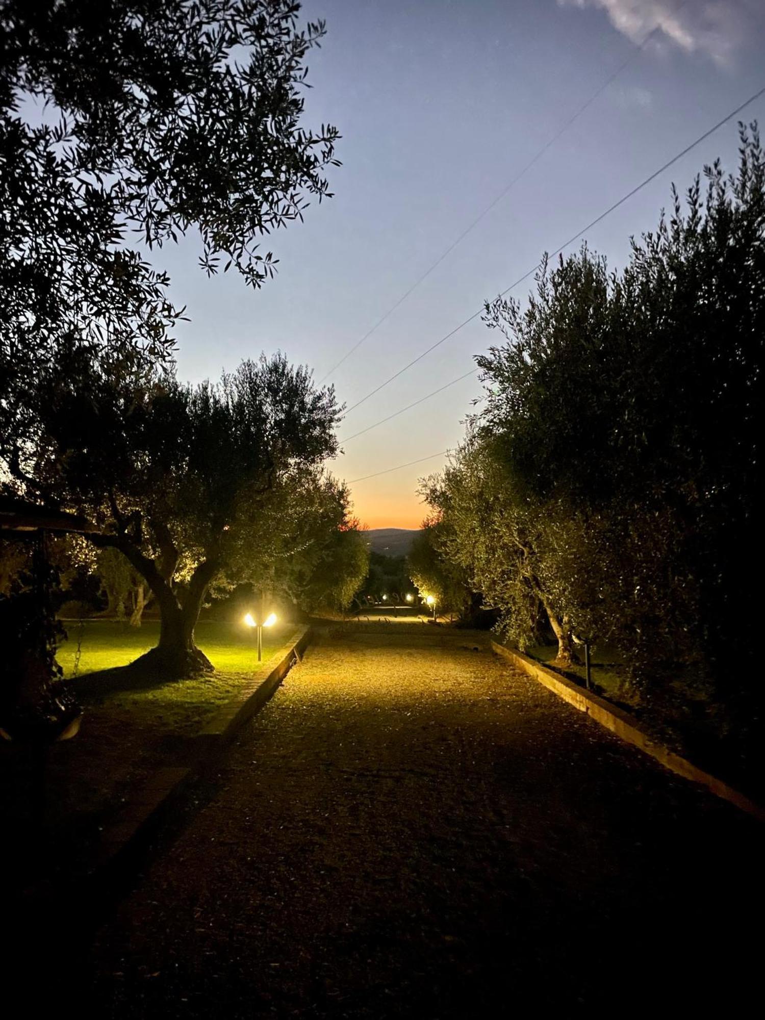 Agriturismo Podere Valdo 가보라노 외부 사진