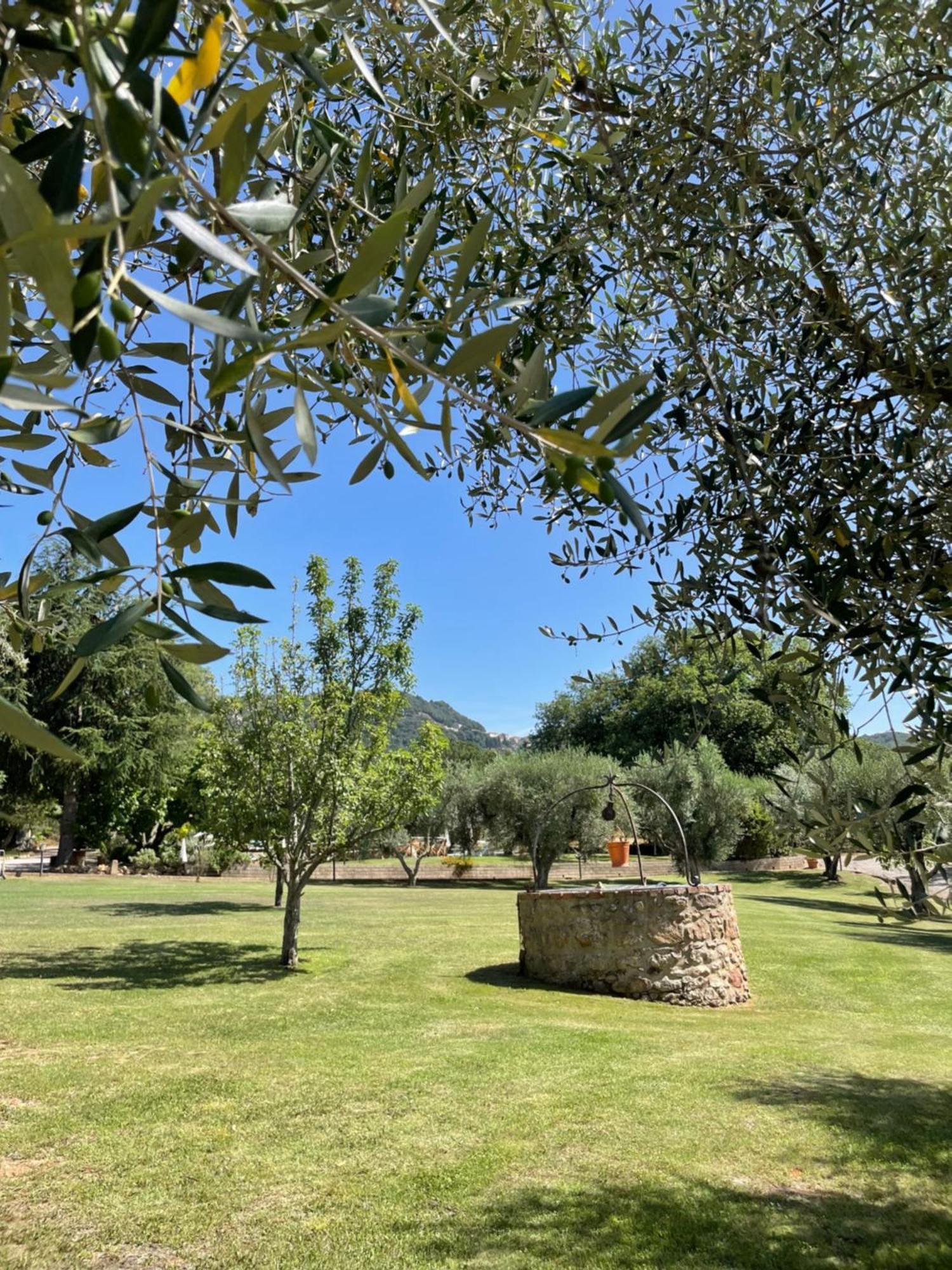 Agriturismo Podere Valdo 가보라노 외부 사진