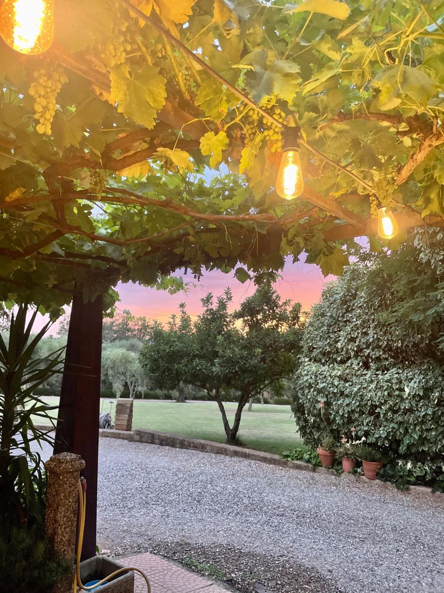 Agriturismo Podere Valdo 가보라노 외부 사진
