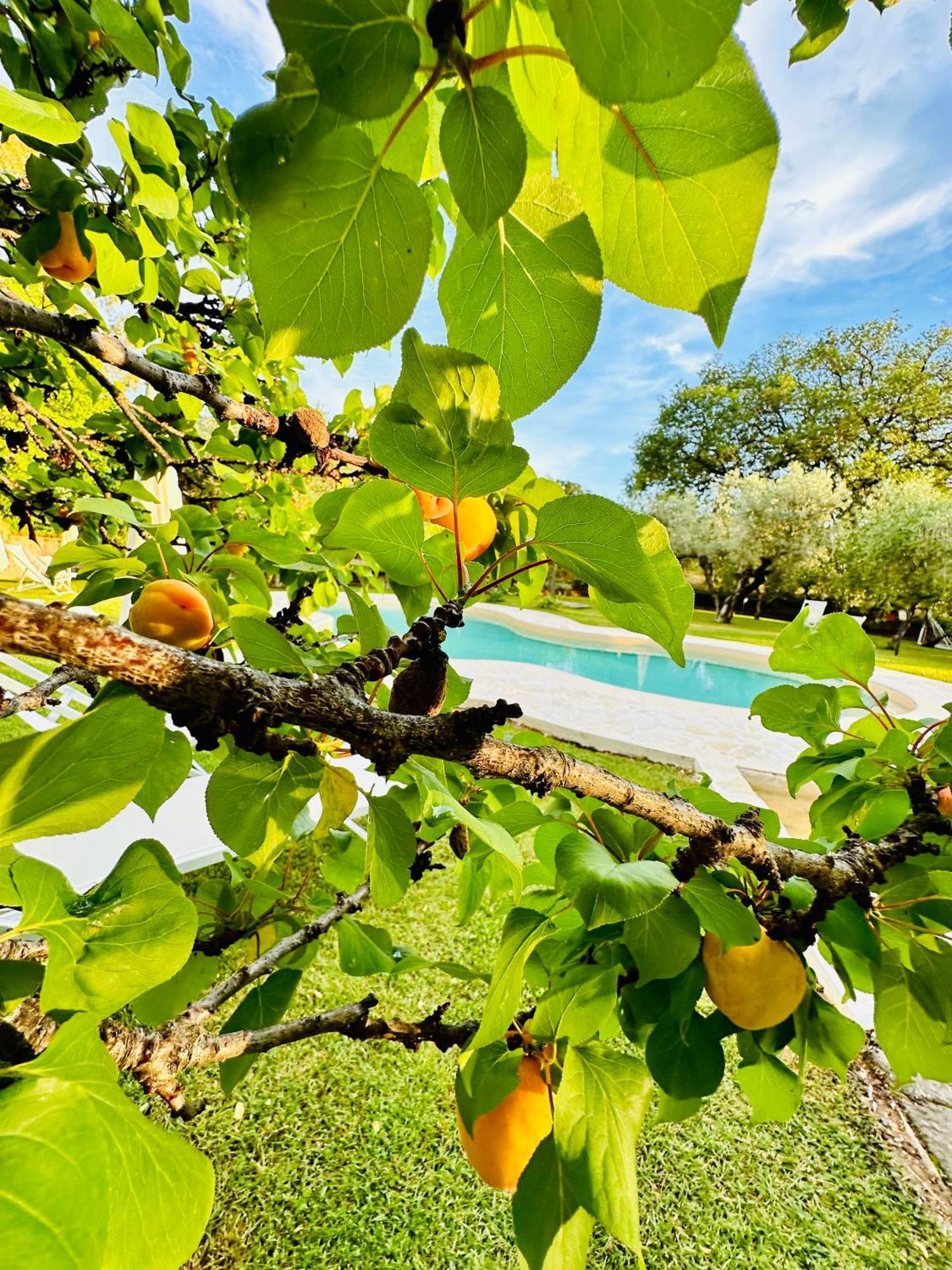 Agriturismo Podere Valdo 가보라노 외부 사진