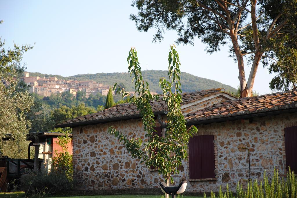 Agriturismo Podere Valdo 가보라노 객실 사진